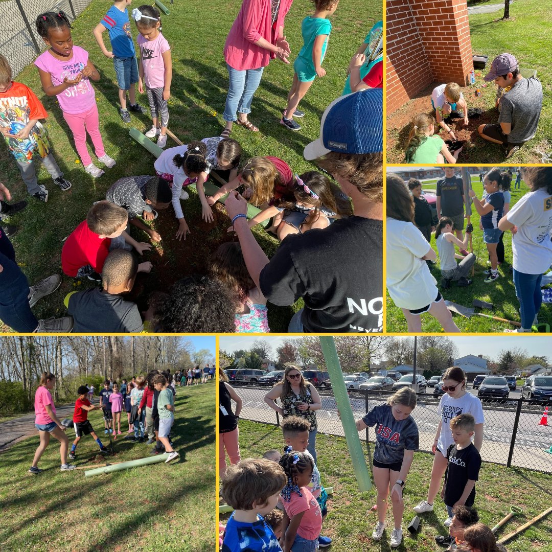 Today, our students are collectively planting nearly 500 trees/shrubs at our schools as part of the Keystone 10 Million Trees (K10) Program. More to come in our Blue & White Newsletter on Friday! Register here to receive our newsletter: bit.ly/WYNewsletterRe… @WYASDSupt