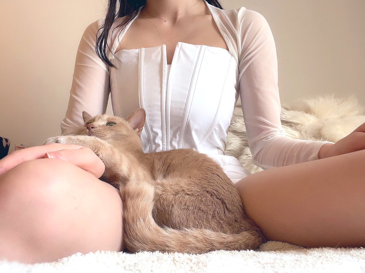 お仕事に行かせてくれない猫 https://t.co/RT6wKedN3f