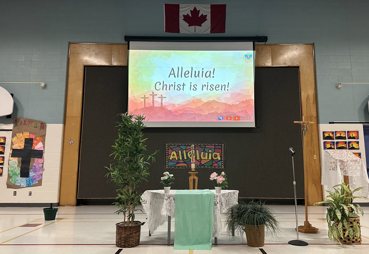 Mrs. Coxall tweet media