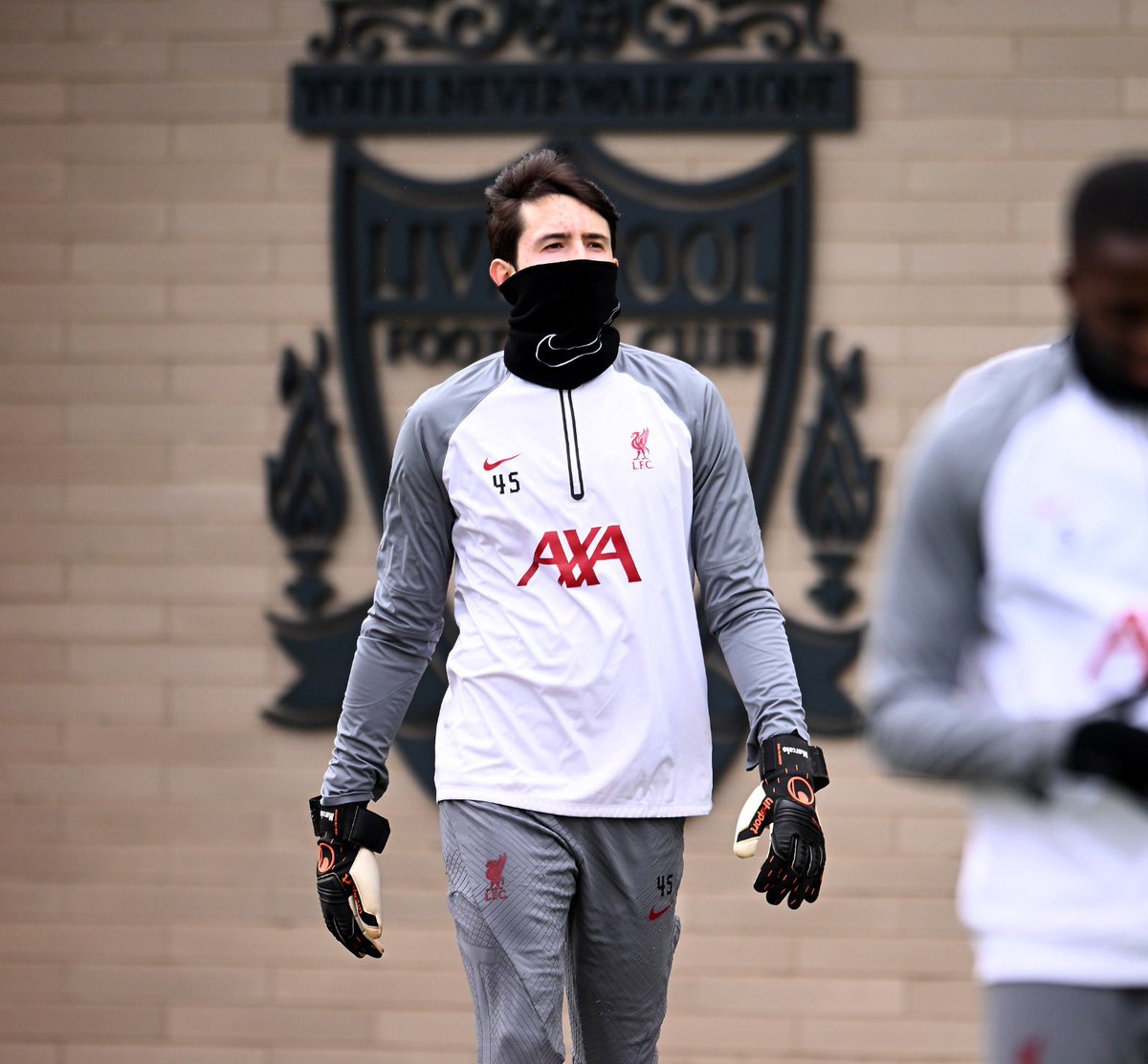 Marcelo Pitaluga (@mpitaluga_) on Twitter photo 