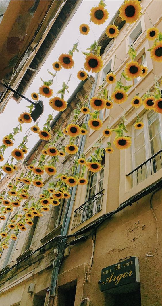 Girasoles en el cielo. 🌻✨