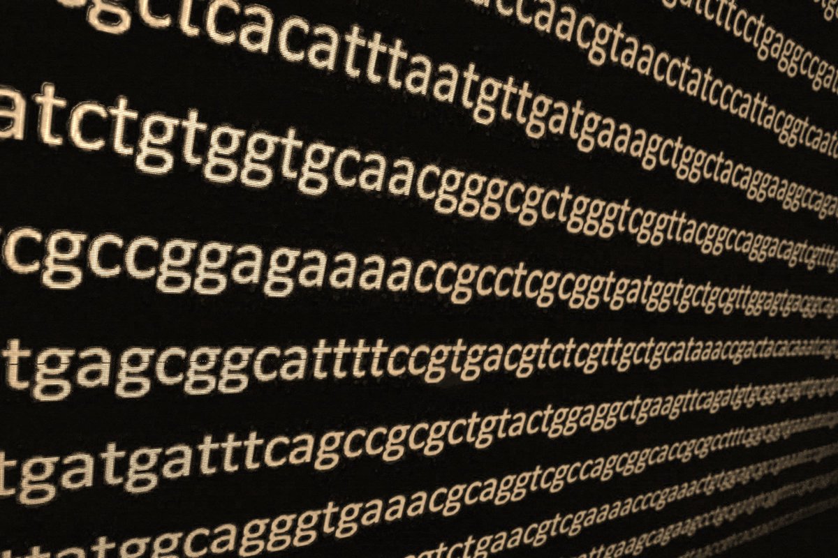 SEQanswers's tweet photo. We asked our experts how they are keeping up with the latest analysis trends. Check it out here! #sequencing #bioinformatics #Genomics 
https://t.co/lD9a2ewqJa https://t.co/YTksoHQnNB