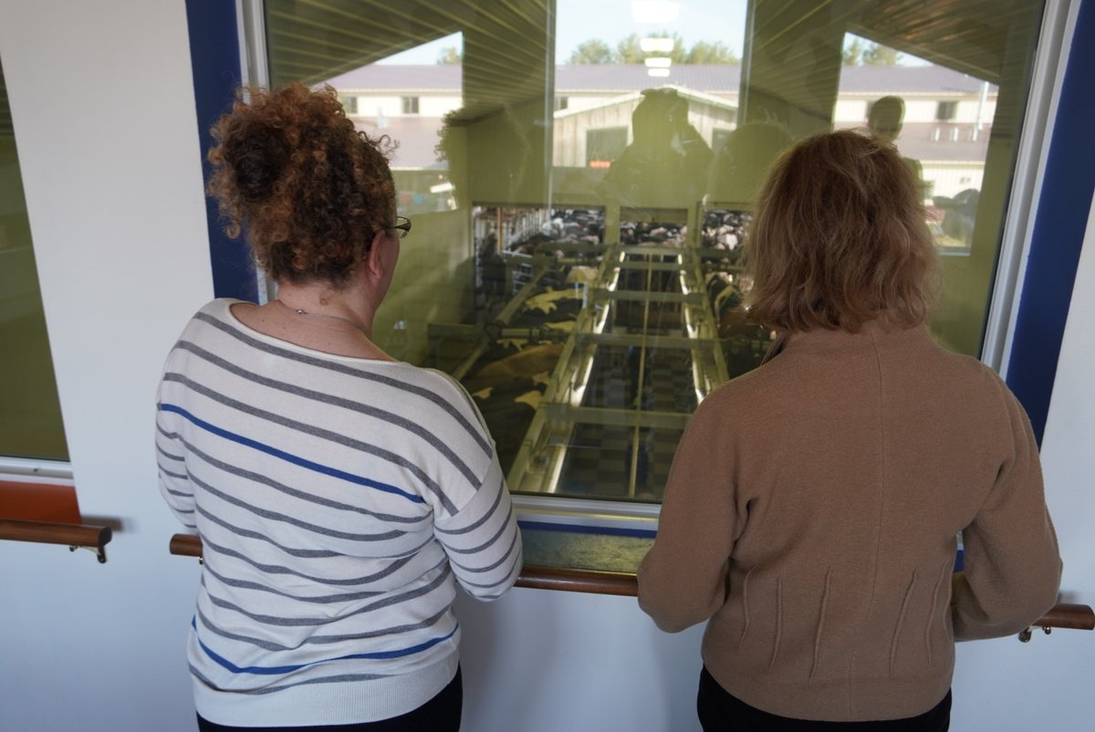 SenatorBaldwin's tweet image. While on the road, I just had to stop at @MariekeGouda in Thorp to get some delicious #MadeinWI cheese!🧀

Thanks to my Dairy Business Innovation Initiative, dairy businesses like Marieke can access the resources they need to innovate &amp;amp; keep their businesses thriving!