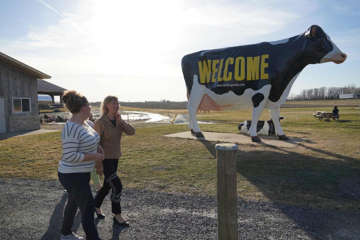 SenatorBaldwin's tweet image. While on the road, I just had to stop at @MariekeGouda in Thorp to get some delicious #MadeinWI cheese!🧀

Thanks to my Dairy Business Innovation Initiative, dairy businesses like Marieke can access the resources they need to innovate &amp;amp; keep their businesses thriving!