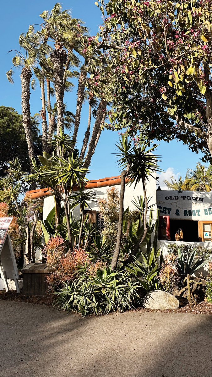 San Diego, you are beautiful 🌵