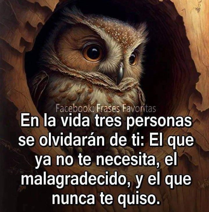 CuxoAugusto's tweet photo. Mucha razón. #BuenosDias, saludos de todo 💛 banda #Twitera https://t.co/FM6oHPfftf