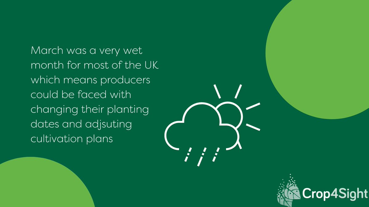 Crop4Sight tweet media