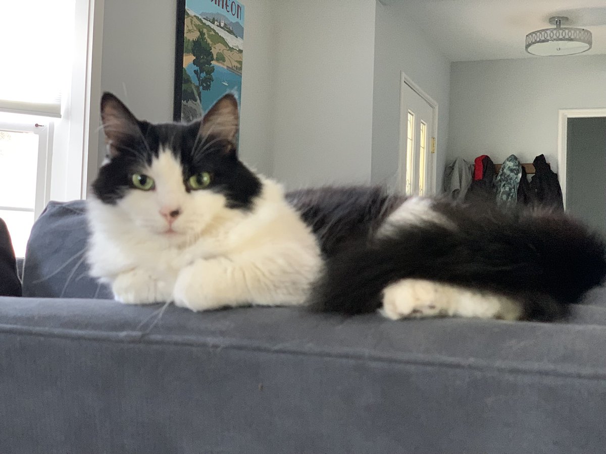 Jenny Fong tweet media