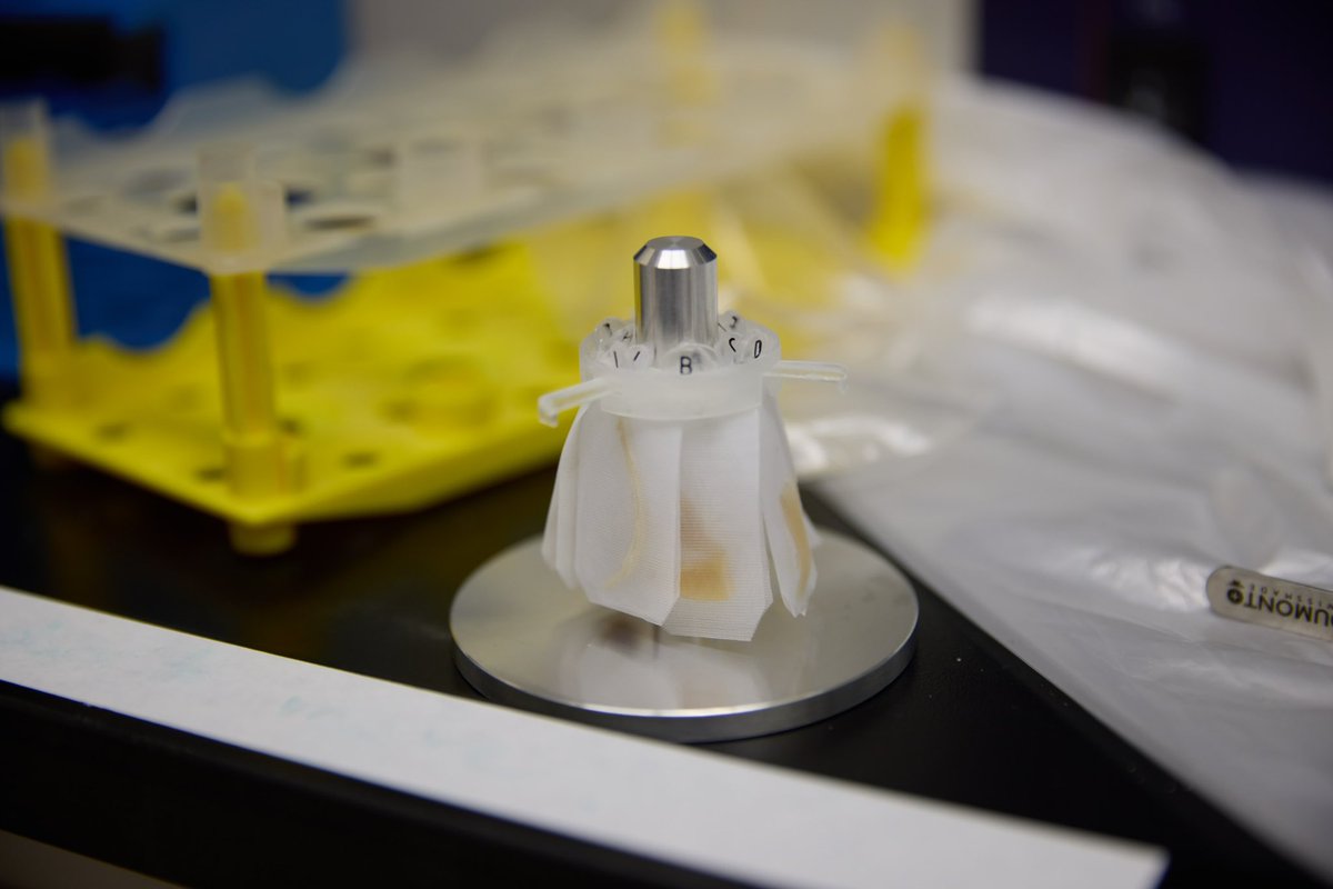 SmartBatch+ Demo system is here! First 11 samples are going in 🎉 #TissueClearing #LightSheet