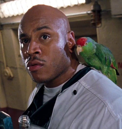 50PercentFresh's tweet photo. New episode is up! We dive into DEEP BLUE SEA (1999), the legacy of shark movies, the agent who didn’t want their client to play a chef, LL Cool J's seminal title track, and Taylor’s irrational afraid of swimming pools. https://t.co/n91RE7k93P https://t.co/7quiIc7bvK