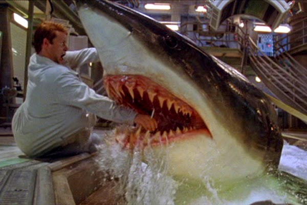 50PercentFresh's tweet photo. New episode is up! We dive into DEEP BLUE SEA (1999), the legacy of shark movies, the agent who didn’t want their client to play a chef, LL Cool J's seminal title track, and Taylor’s irrational afraid of swimming pools. https://t.co/n91RE7k93P https://t.co/7quiIc7bvK