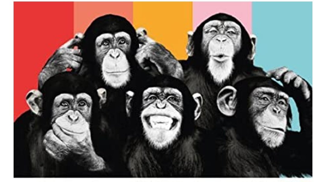 ArjunMahadevan's tweet photo. How your friends can shape your future.

The five chimps theory: https://t.co/cy7vyAsAhN