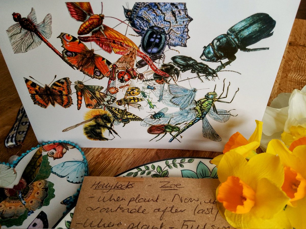 Yippee! @CathHodsman 's lovely cards capture that dizzy explosion of exquisite miniature wonders, dancing on the warm summer breeze...free wildlife-garden flower seeds with every card - now's the time to get some!😍💚🌻🪻🌼