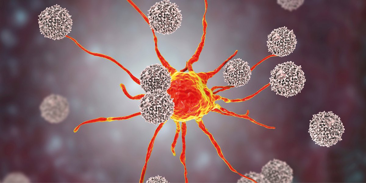 Fondazione Oncologia Niguarda Onlus tweet media