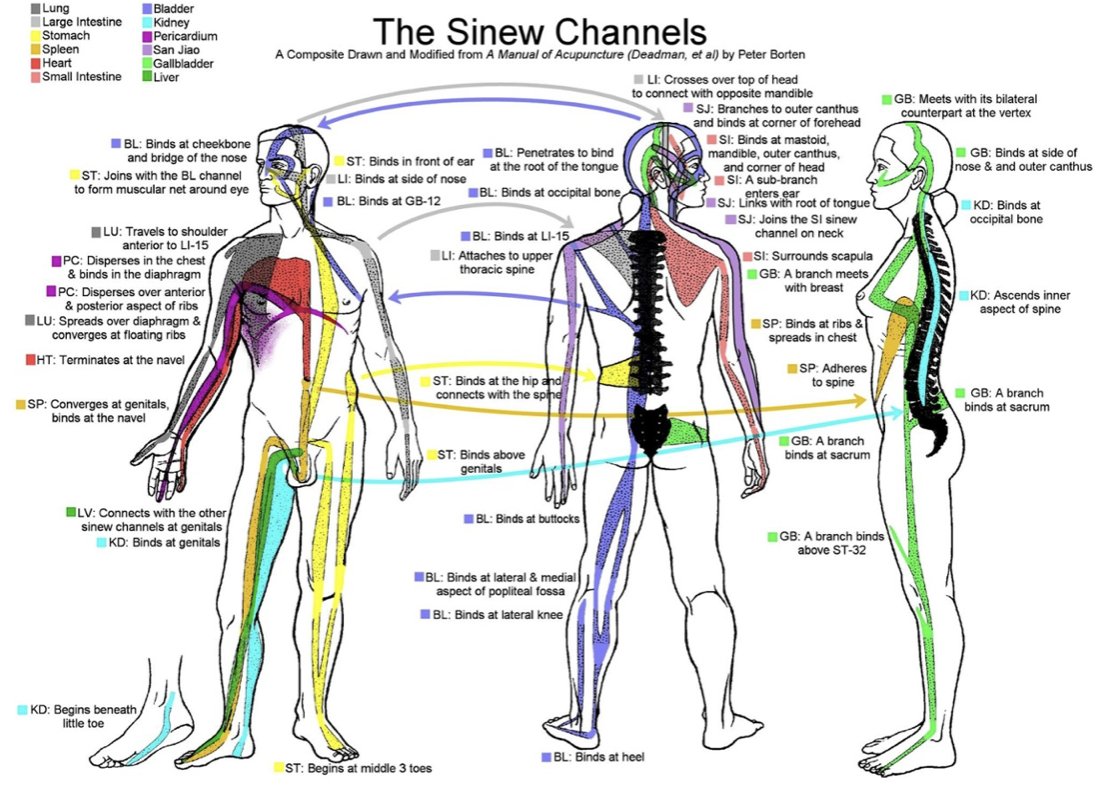 TheCommonsChoir's tweet photo. April 23, all-day WKSP in Beacon. NY: 12 Sinew Meridian Form - https://t.co/y0F8k3KeH4 https://t.co/7IUrkWDWwm