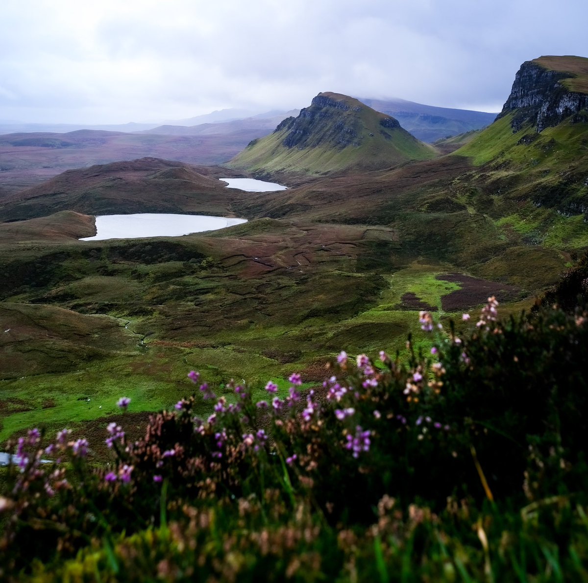 Jbasphotography's tweet photo. Spring on the Isle of Skye 🏴󠁧󠁢󠁳󠁣󠁴󠁿 

#scotland #isleofskye #photograghy #landscapephotography #springtime https://t.co/RNPxMVieKq