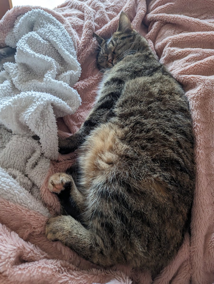 Martin (@yvrainelol) on Twitter photo 