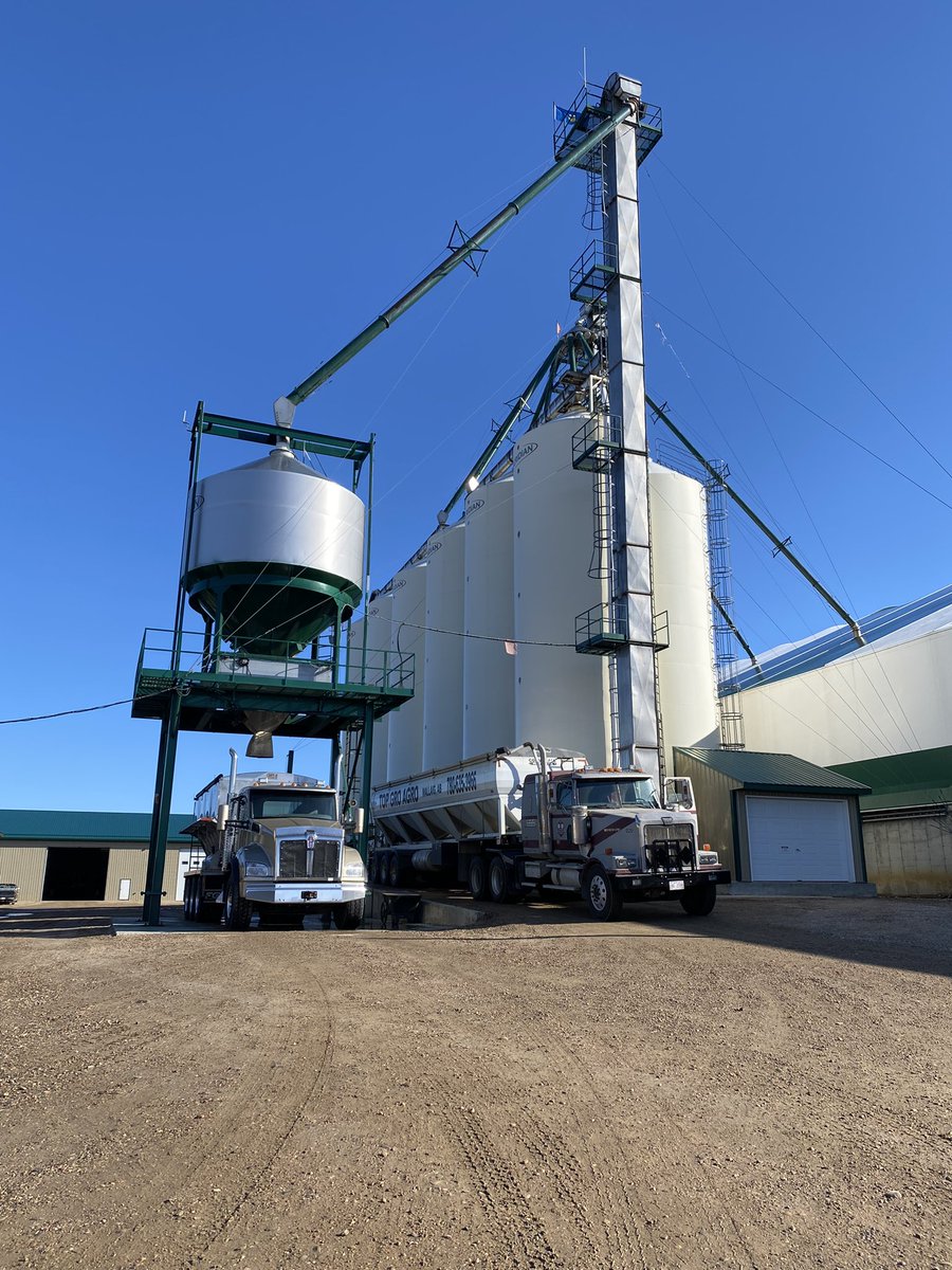 Danielle Chamberland tweet media