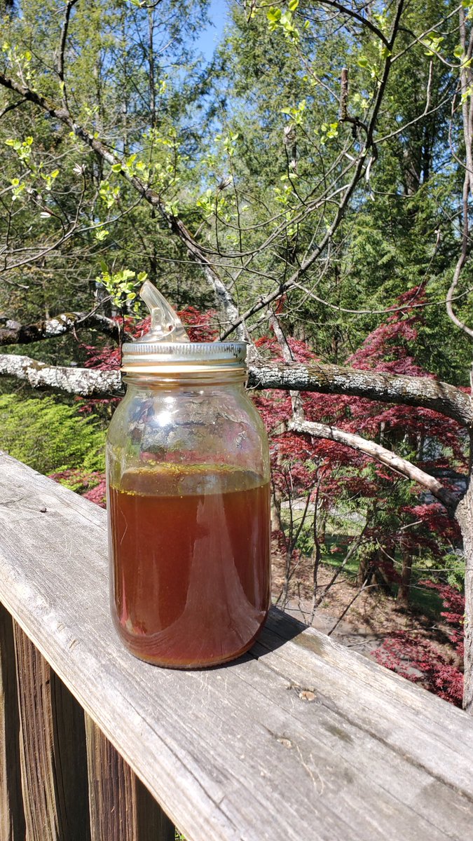 AnaKWrenn1's tweet photo. Turmeric and Black Tea on a sunny Appalachian Spring Day.
#reportea https://t.co/lhZDH9LU27