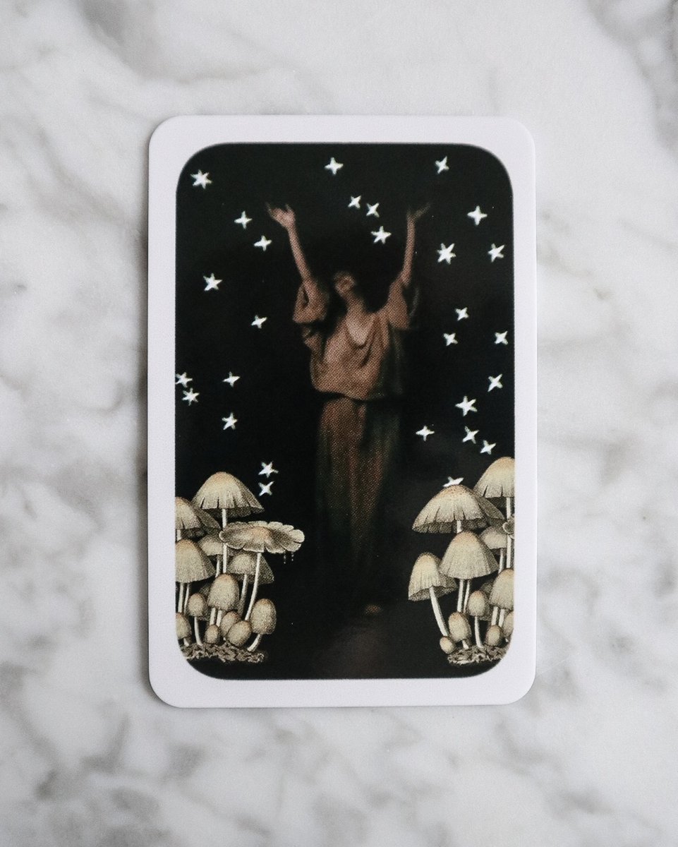 TesseraOracle's tweet photo. what does this living oracle card say to your intuition?

#intuition #oracle https://t.co/JVIQqtMZE3