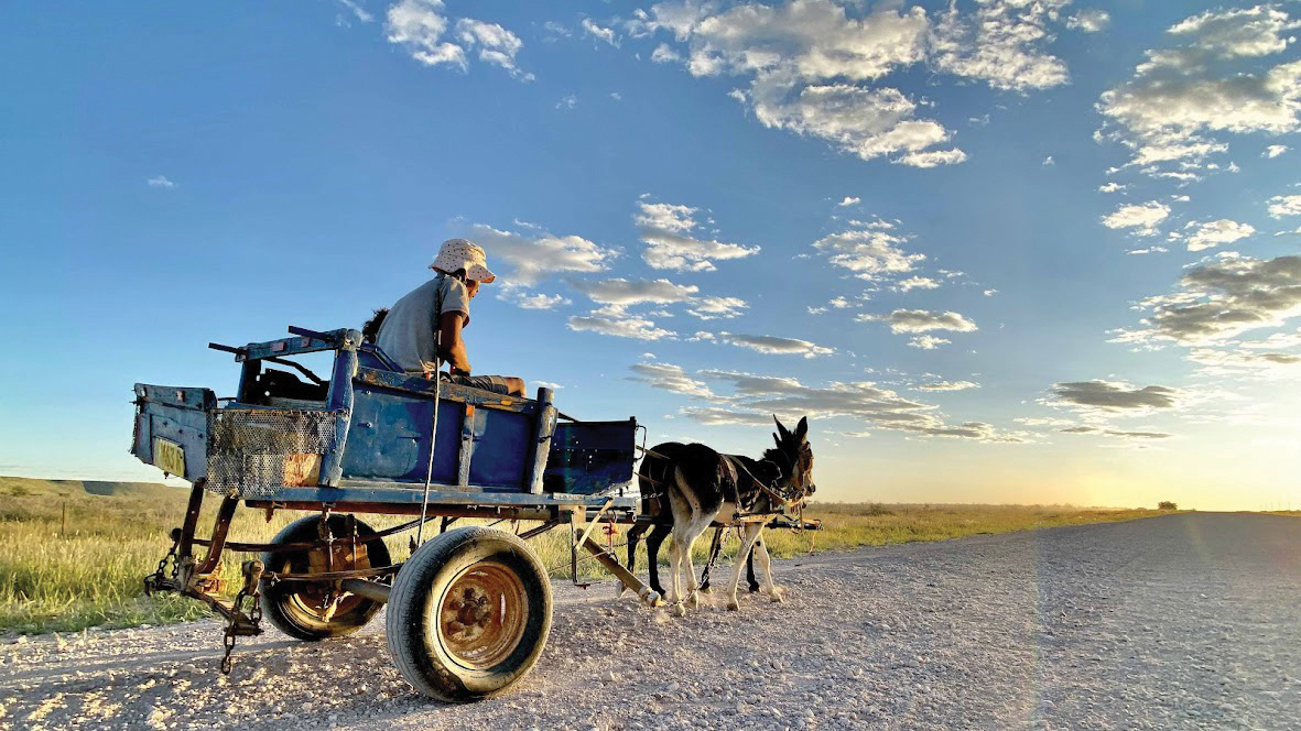 Travel News Namibia tweet media