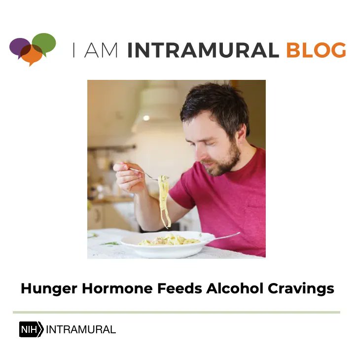 NIAAAnews: RT @IRPatNIH: 1 in 10 Americans over the age of 12 have #AlcoholUseDisorder.
At #NIH, researchers are studying how a ‘hunger hormone’ influences #alcoholconsumption.

Read more on the ‘I Am Intramural’ blog: bit.ly/3MCIBw7 #NIH_IRP #…