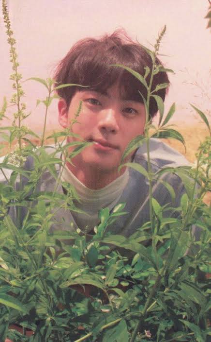 JinChweing's tweet photo. Wts lfb bts ph

Love yourself her o jin photocard.
💰: 400
Loc: cebu
Mint condi
Mop: Gcash
Mod: sc0

Jin her o bts seokjin plantito plants bts namjoon rm yoongi suga jhope hoseok jimin taehyung V jungkook jk ly ans https://t.co/ohnuidinUk