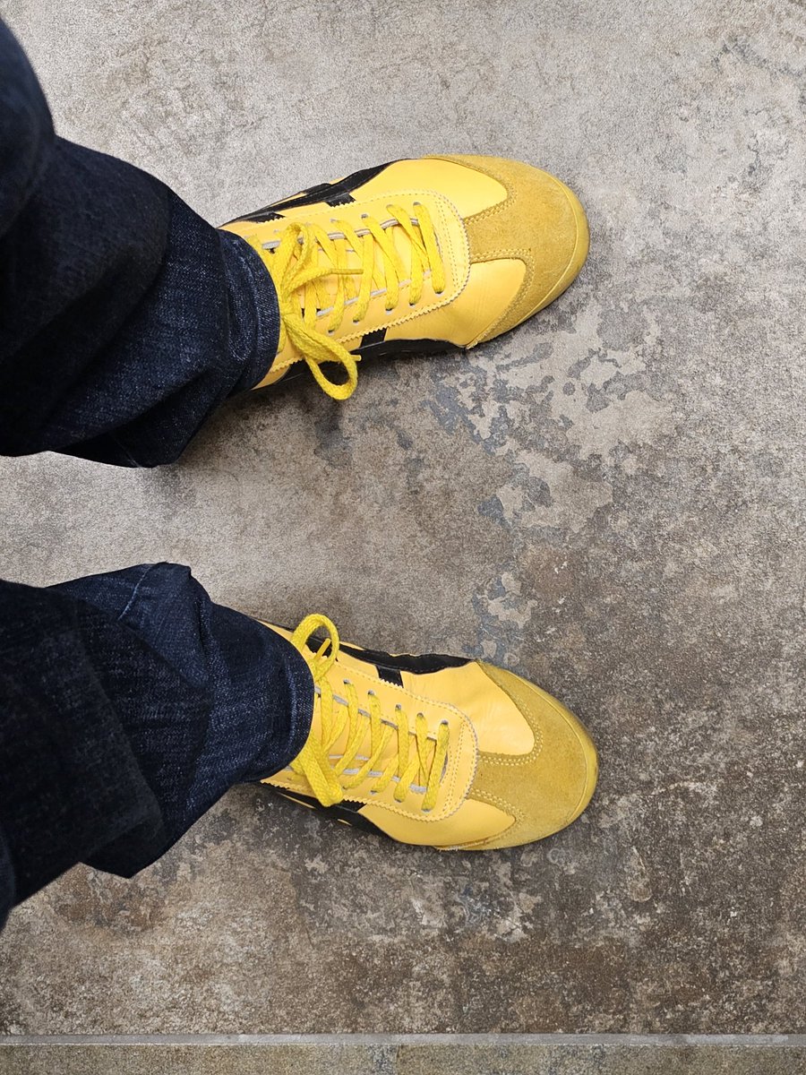 MWSpratt's tweet image. Onizuka Tigers
Wearing the colors!