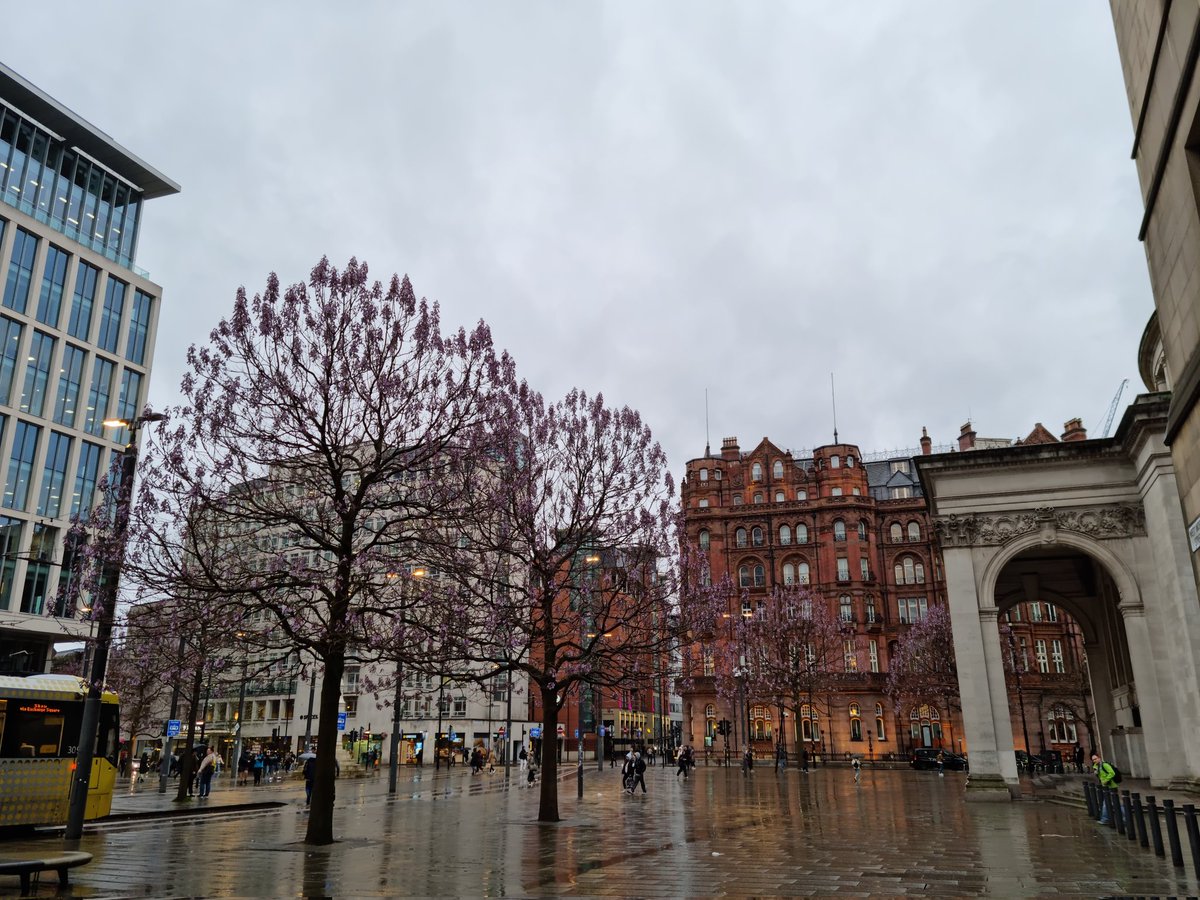 Davey2000 tweet media