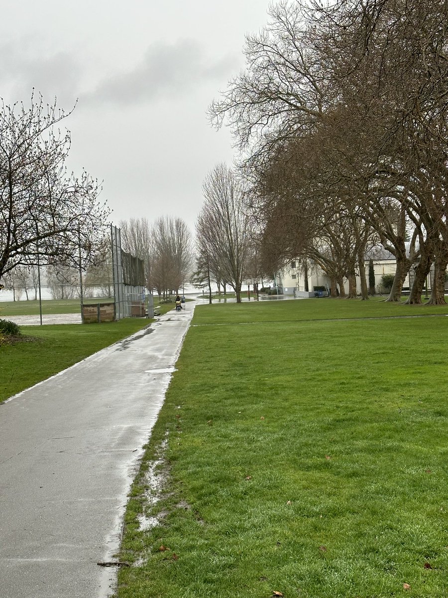 MbirdVirtualRun tweet media