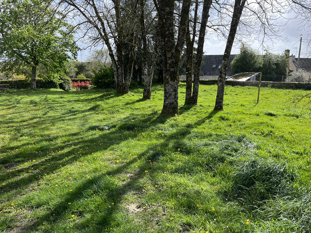 rozenn ferrec tweet media