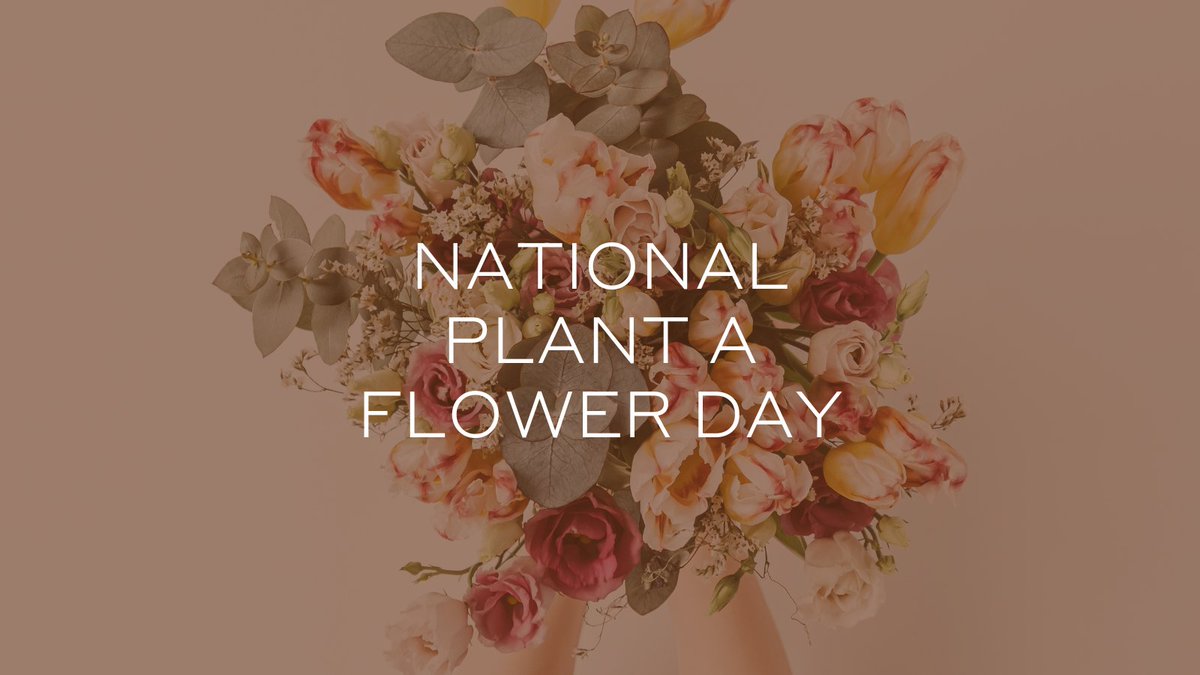 Today is #nationalplantaflowerday celebrating the importance of flowers being felt worldwide. #buylesschoosewell #trending #sustainablefashion #plantsmatter