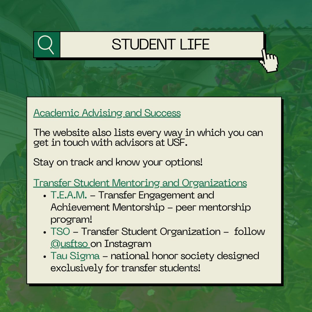 Student Government - Tampa Campus tweet media