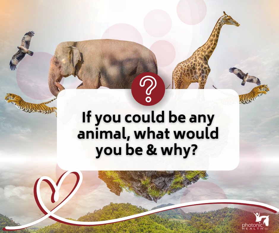 PhotonicHealth's tweet image. Happy #QuestionWednesday, everyone! 

Today's question is: If you could be one of your animals, which would you be and why? 🤔🦁🐘🦒🦊🦉🦜🐟

Share your thoughts in the comments below and tag your friends to join in on the fun! 🐾🌿🌍 

#AnimalInspiration #FunWithFriends
