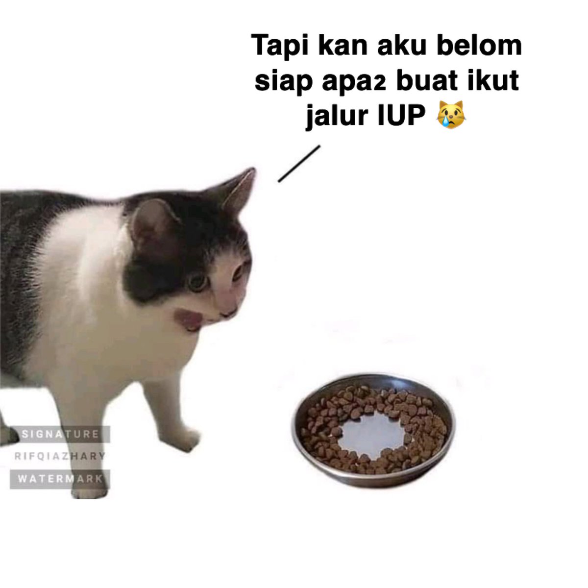 masterzanaedu's tweet photo. Belom siap2 apa2 buat ikut jalur IUP?
Tenang kamu boleh ikut bimbingan sama Privat Miss Zizi ya 🥰
Cek di https://t.co/LBLwWJDIYl https://t.co/tqDmHH9GLJ