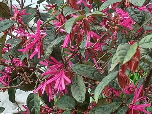 anke_hc's tweet photo. @anke in beautiful #BournemouthBeach #SeaSand wild beach. Sadly lawns are kept short, not many flowers for the #bees. #MacedonianHoney https://t.co/i7UxBWyTdE