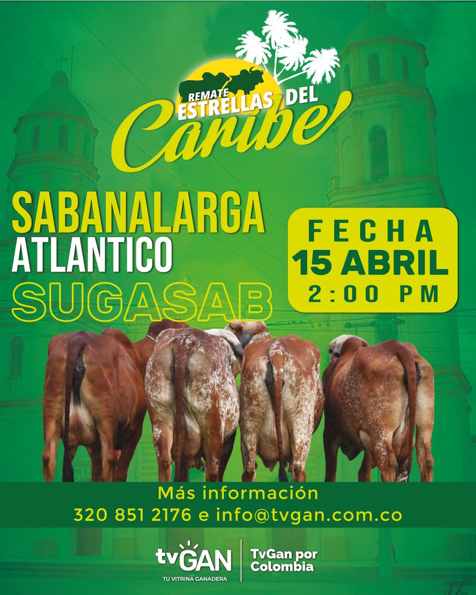 jflafaurie's tweet image. #ConstruyendoGanadería

@TvGanColombia llevará a cabo este sábado 15 de abril la subasta de ganado Estrellas del Caribe en #Sabanalarga (#Atlántico). 

Es una oportunidad para que productores de todo el país amplíen y mejoren sus hatos.

@Fedegan
@PLBarraquilla
@TecniganAtlMag