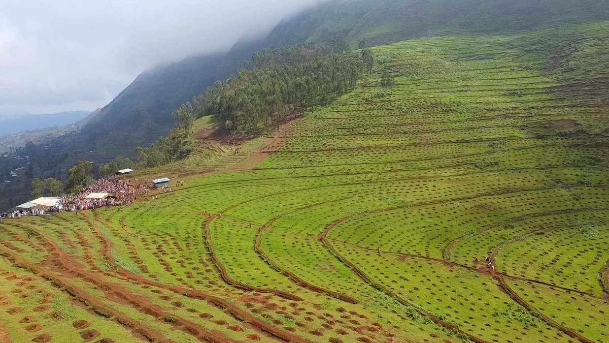 ShimelisAbdisa's tweet photo. The Future of Ethiopia: green economy
We are building broad based economy in all aspects. The new initiatives on soil and water conservation by working on physical, biological and agronomic measures. With #TajaajilaLammummaa program our great people will transform our economy. https://t.co/im9iV1a9G8