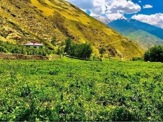 sarwarzohair's tweet photo. Beauties of our land!
#Naturehar
#Farkhar
#Takhar
#Aghanistsn https://t.co/BbZ4HA0U8l