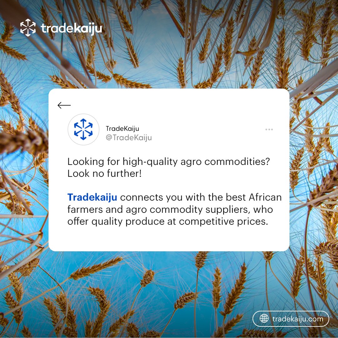 TradeKaiju's tweet photo. Tradekaiju connects you with the best African farmers and agro-commodity suppliers, who offer quality produce at competitive prices.  

#tradekaiju #tradingplatform #agrocommodities #agriculture #agrobriefing #agroevent #dubai #dubaiexport #investinginafrica #tradeforfree https://t.co/pnb1R10ozV