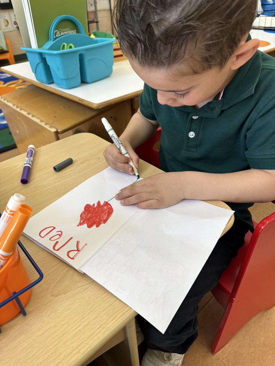 LaurenToffel's tweet photo. Spring is in the air in room 206. Beginning our garden unit and learning about flowers, vegetables and fruits! We can’t wait to see how our seeds grow! #rm206 #jmfeclc #TogetherWeCan https://t.co/sV5iKRxb0E