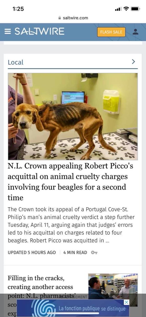 Charlene 🫐 🏌️♀️ 👟 🐕 🇨🇦 tweet media