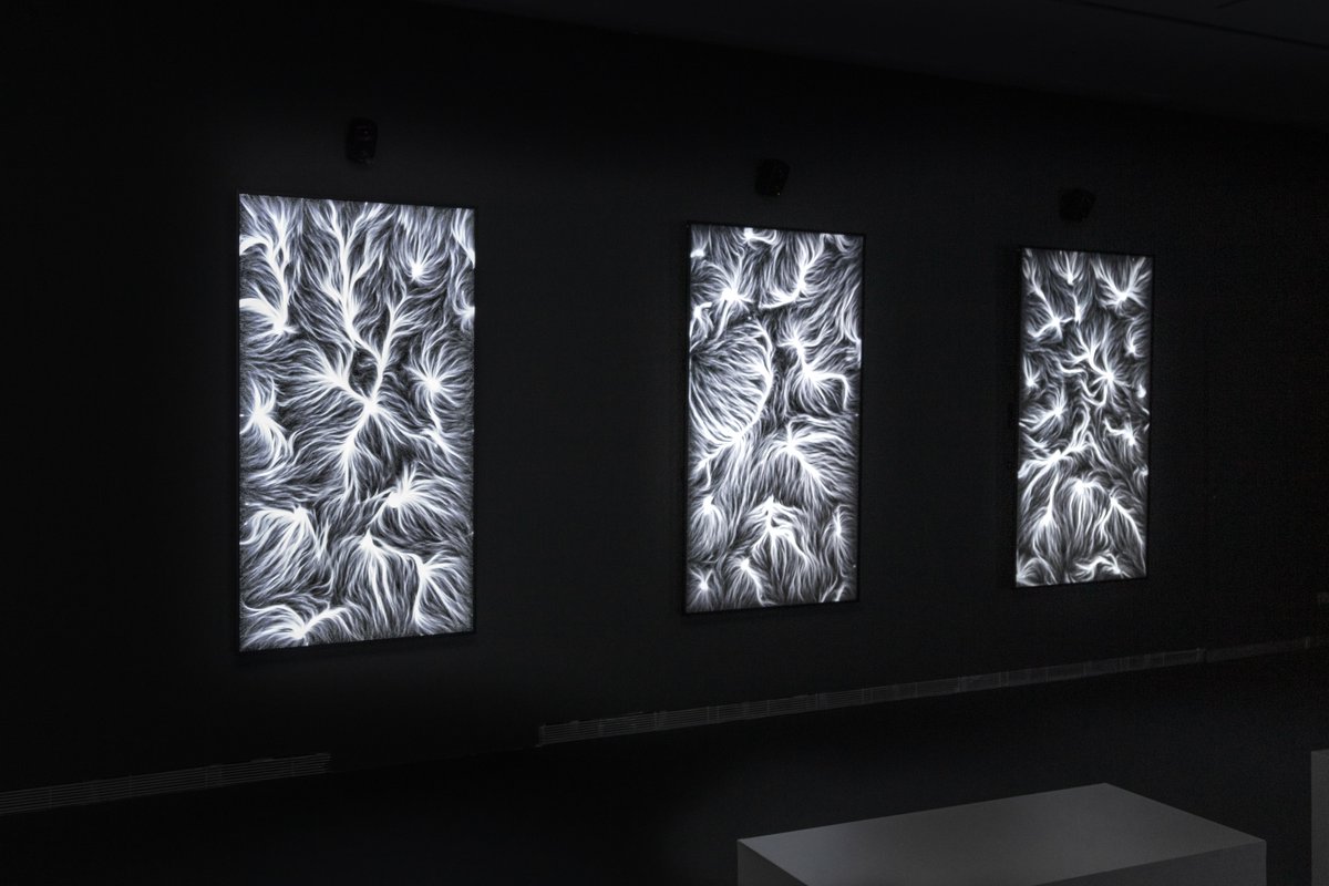 fuse_works's tweet photo. Metaverse Hypothesis at #PalazzoCipolla in Rome, curated by @SerenaTabacchi &amp; Gabriele Simongini, includes our new site-specific installation Multiverse .echo ∞ A series of digital paintings constituting a collage of parallel but distant universes. https://t.co/sy15IXXHEI