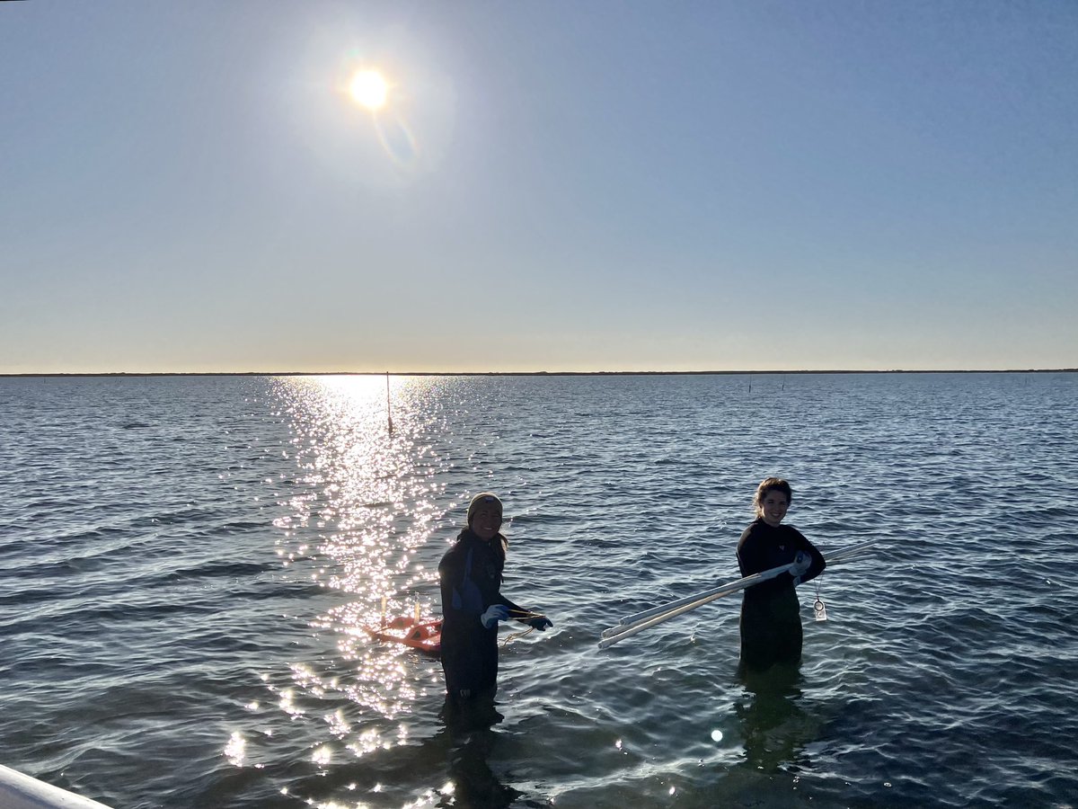 Sophia Hoffman tweet media