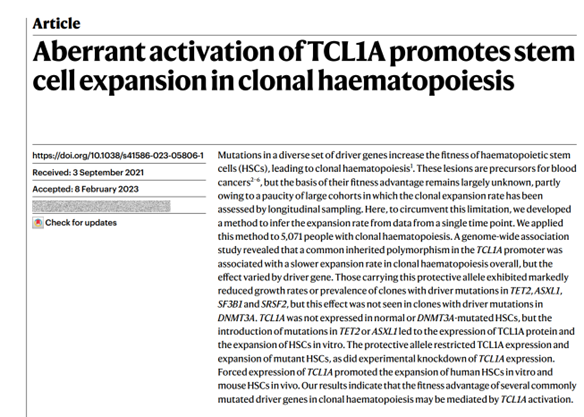 Out in @Nature today, we describe a new method 'PACER' to estimate clonal expansion rate and use it to identify that aberrant TCL1A activation as a cause of #CHIP expansion and potential therapeutic target @J__Stock @Jk_Gopakumar @jaiswalmdphd nature.com/articles/s4158…