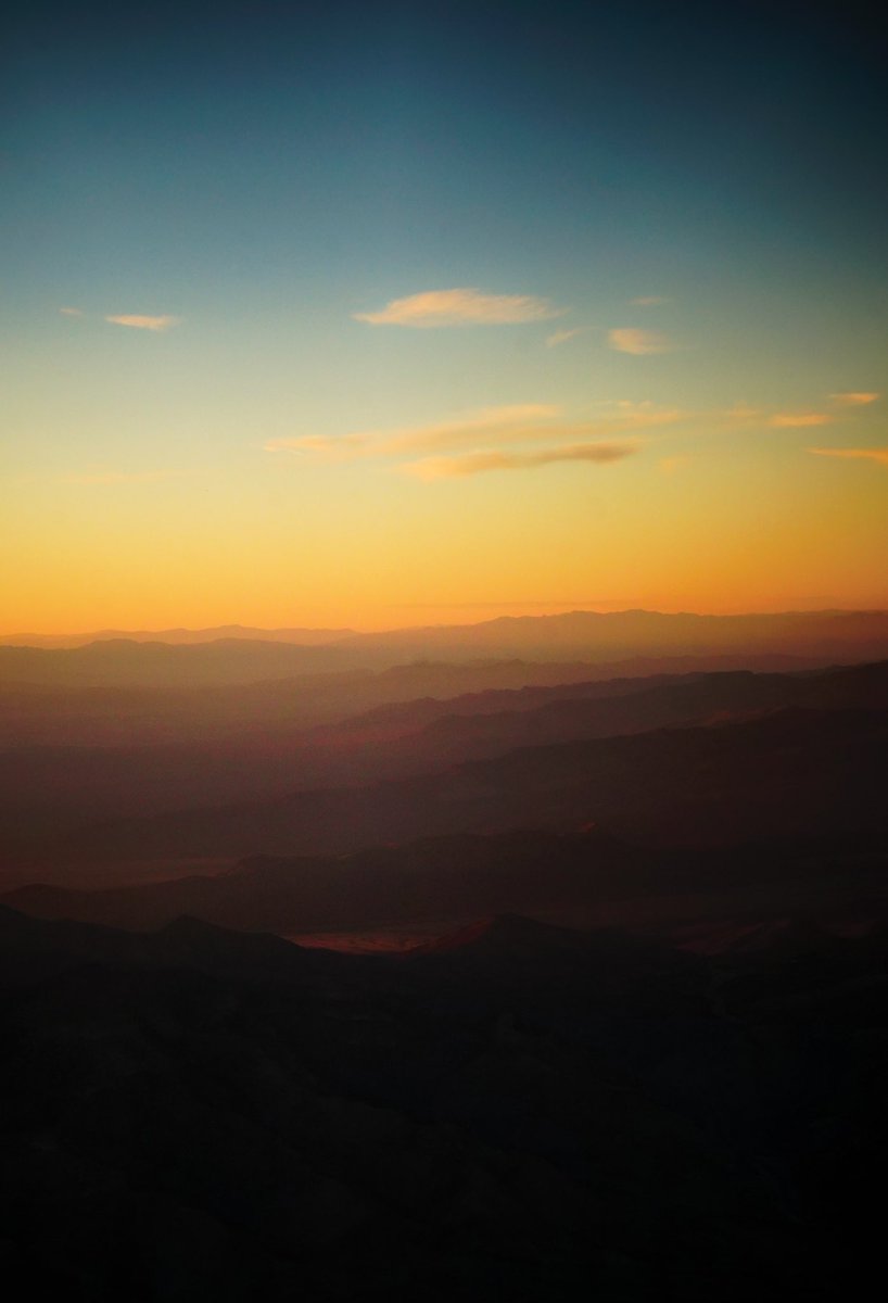 Lana del Rage tweet media