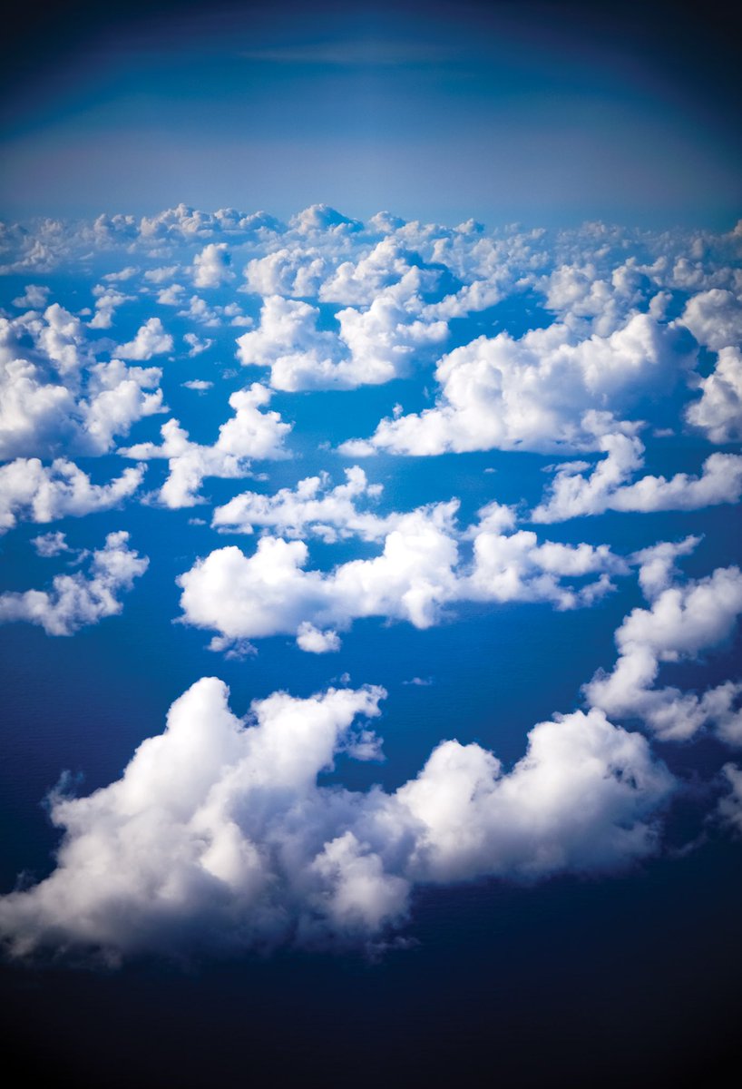 Lana del Rage tweet media