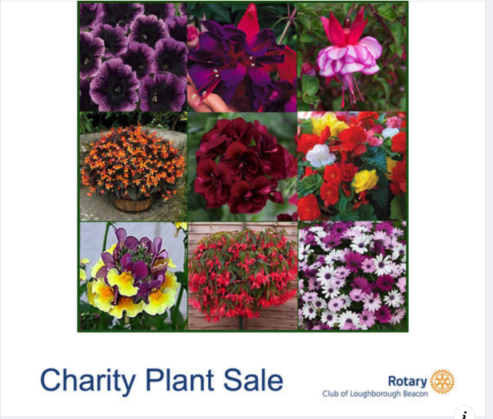 BeaconRotary's tweet photo. Our  Plant sale is back.Beautiful, locally grown plants and patio and hanging basket selections- DELIVERED TO YOUR DOOR!.
 all profits go  to charity, including Rainbows, DEC   and MNDA , have a wonderful garden and help good causes.
To find out more go to
https://t.co/TVVy1Ck2xL https://t.co/kfpRY7zDiG