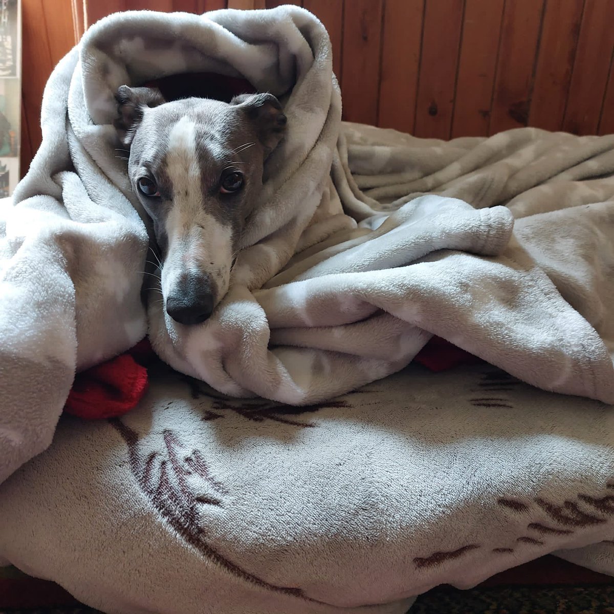 An embarrassing incident occurred in the beach today. It involved diarrhoea and windy weather. This is me after my bath of shame!!!