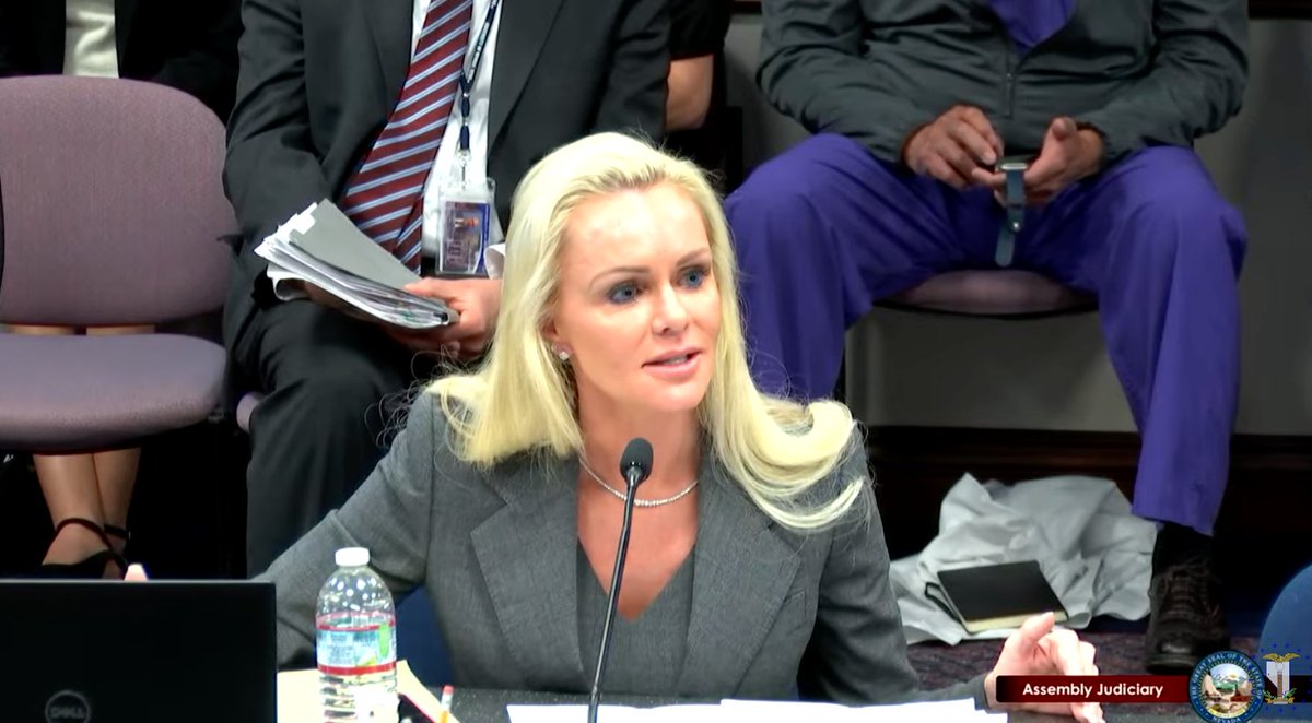 BattleBornProg's tweet photo. "When there are consequences, it deters bad actions," Christian says during the #AB209 bill hearing this morning in #NVLeg Assembly Judiciary Committee 
 https://t.co/mZuTU0i1S8 https://t.co/OdHh7RAbmh